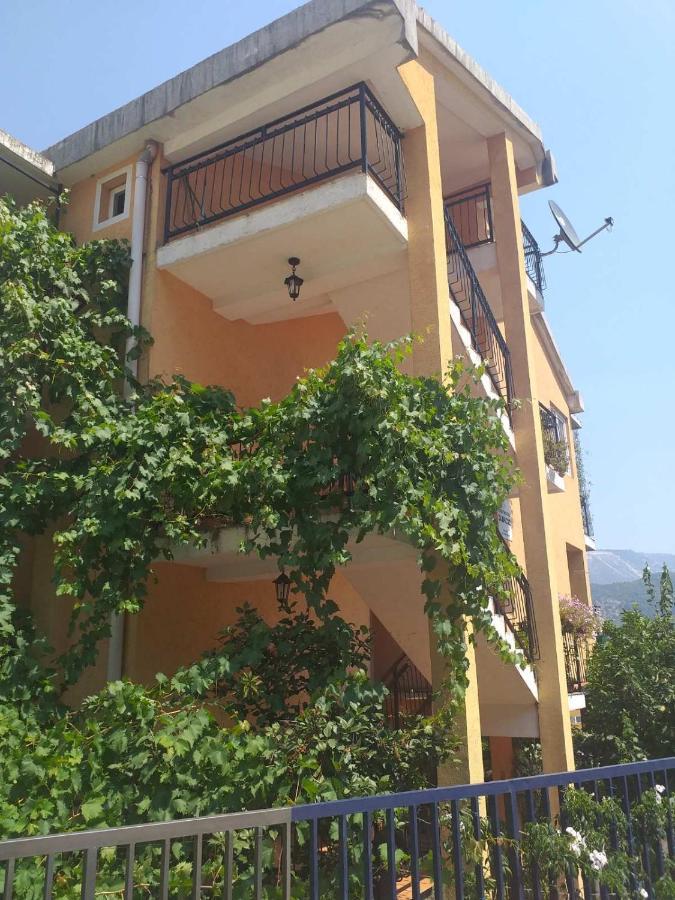 Guesthouse Djacic Budva Exterior photo